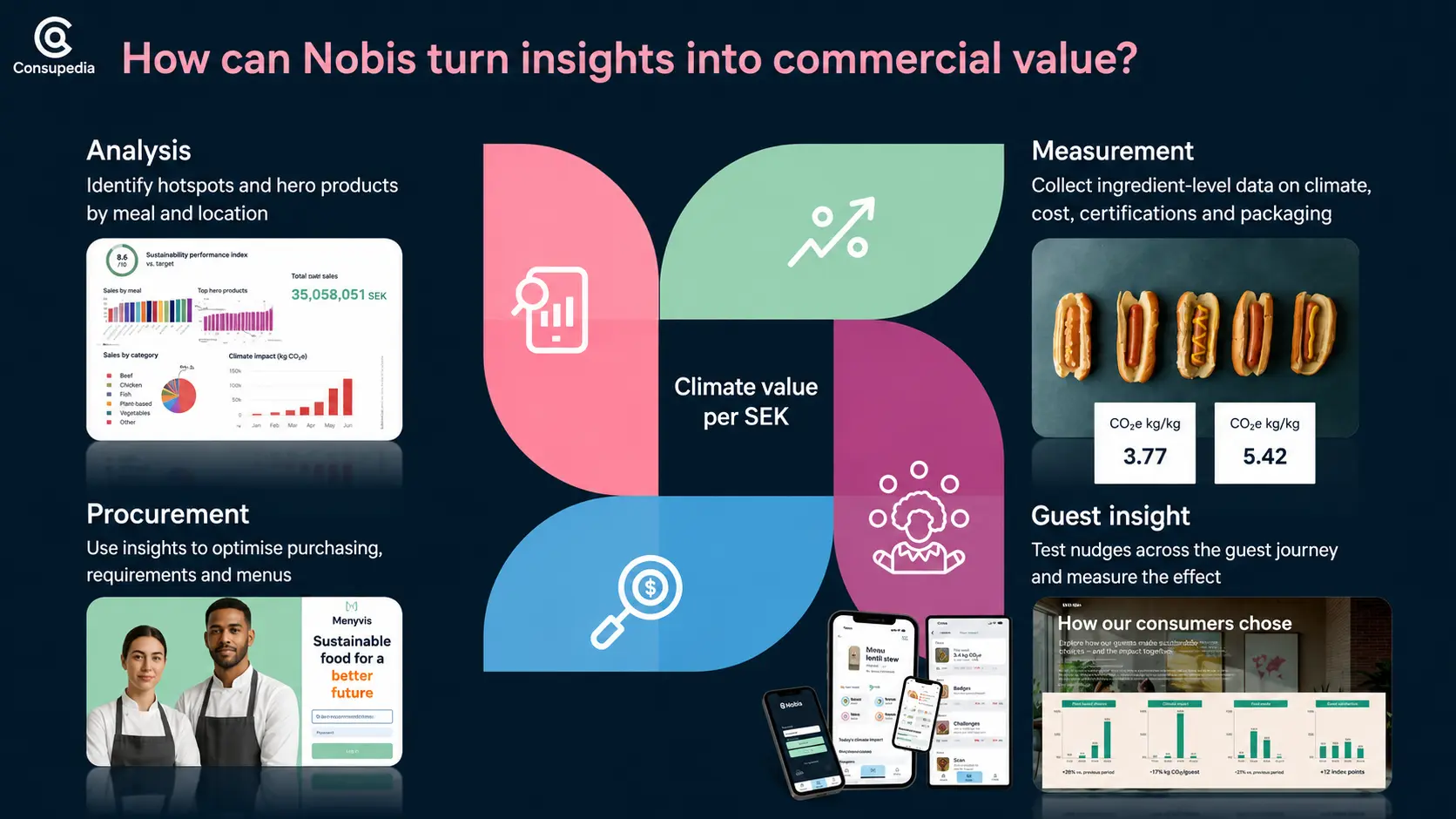 Actual Consupedia hospitality analysis framework developed for Nobis Hospitality Group